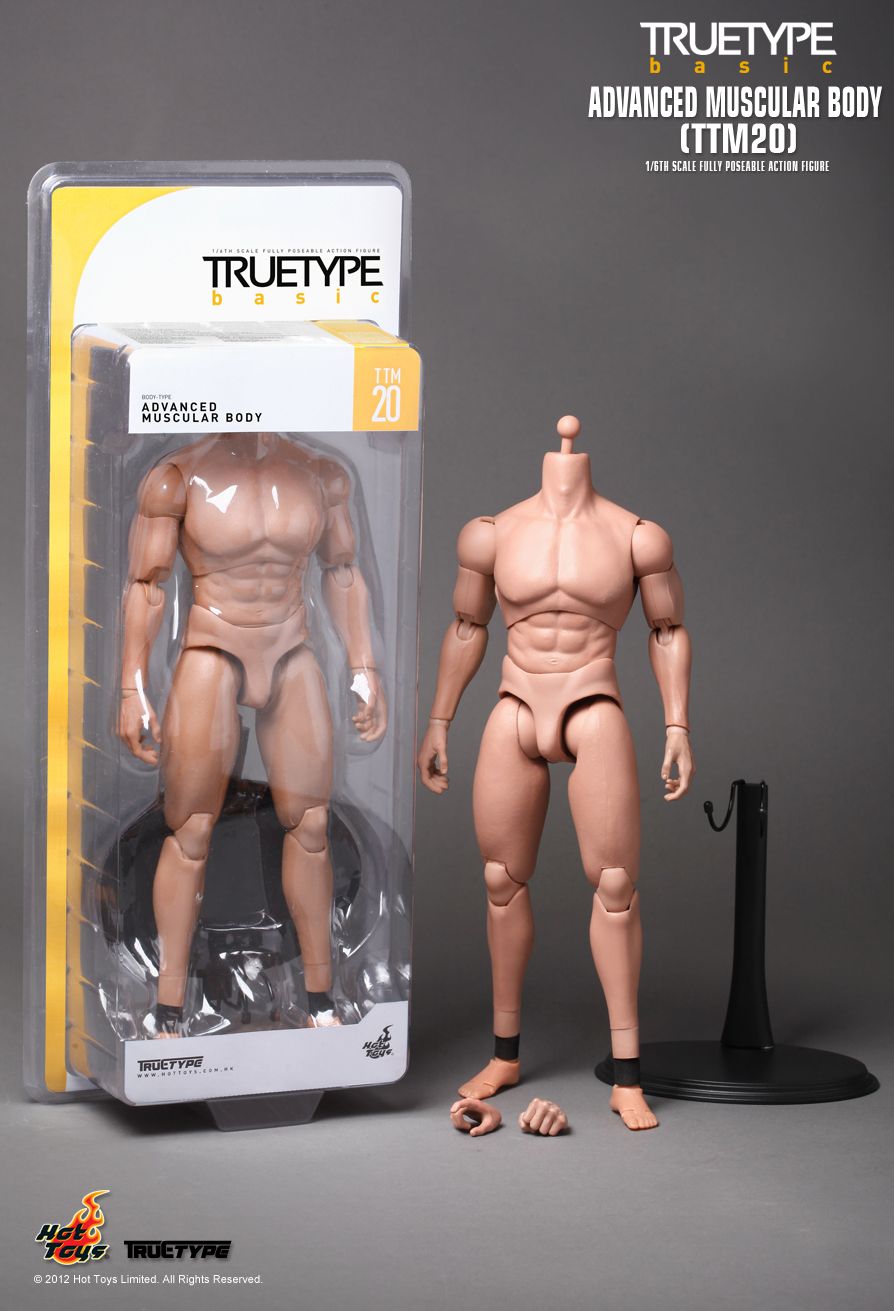 Hot Toys 1:6 scale TTM20 TrueType Basic Advanced Muscular Body TTM-20 