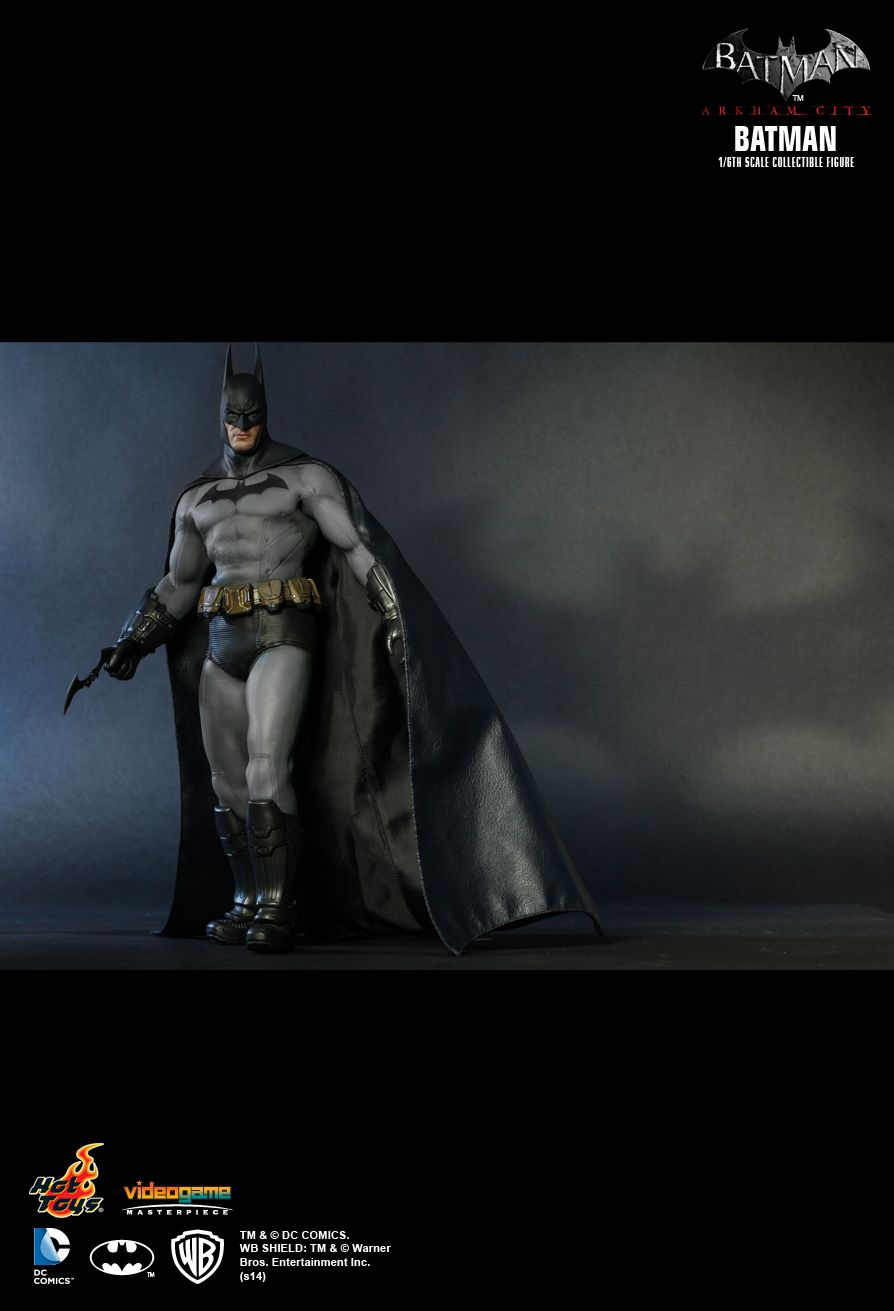 batman arkham asylum hot toys