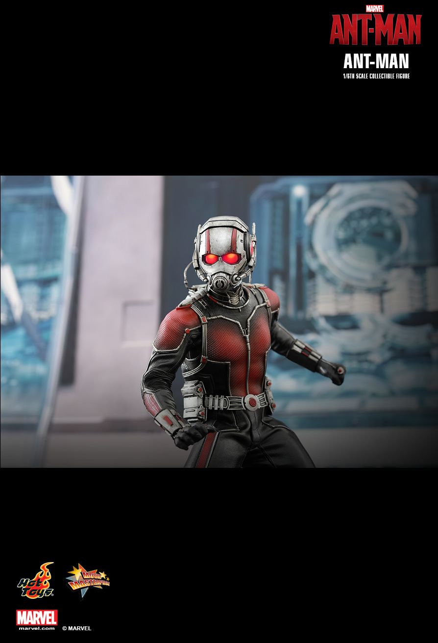 [Hot Toys] Ant-Man: Ant-Man - Página 2 PD1437040495z03