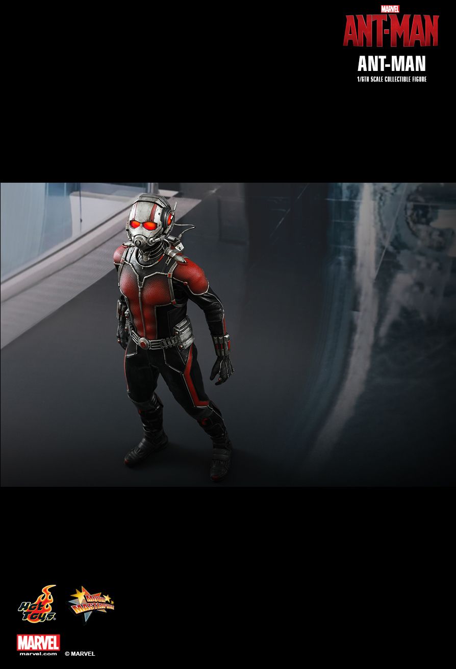 [Hot Toys] Ant-Man: Ant-Man - Página 2 PD1437040510G1t