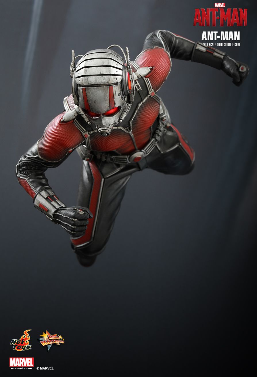 [Hot Toys] Ant-Man: Ant-Man - Página 2 PD1437040515Qx0