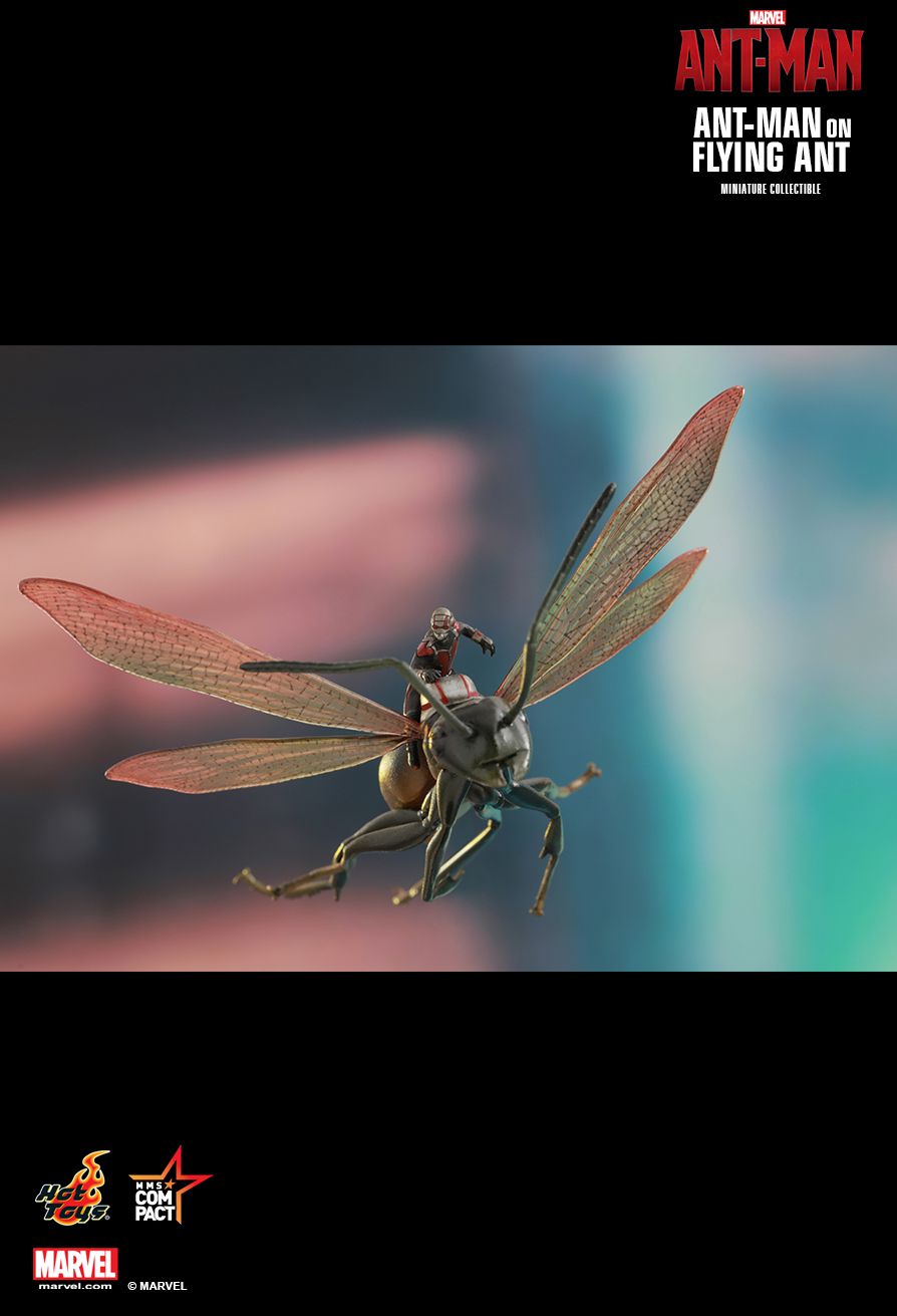 Hot Toys MMSC003 Ant-Man On Flying Ant 