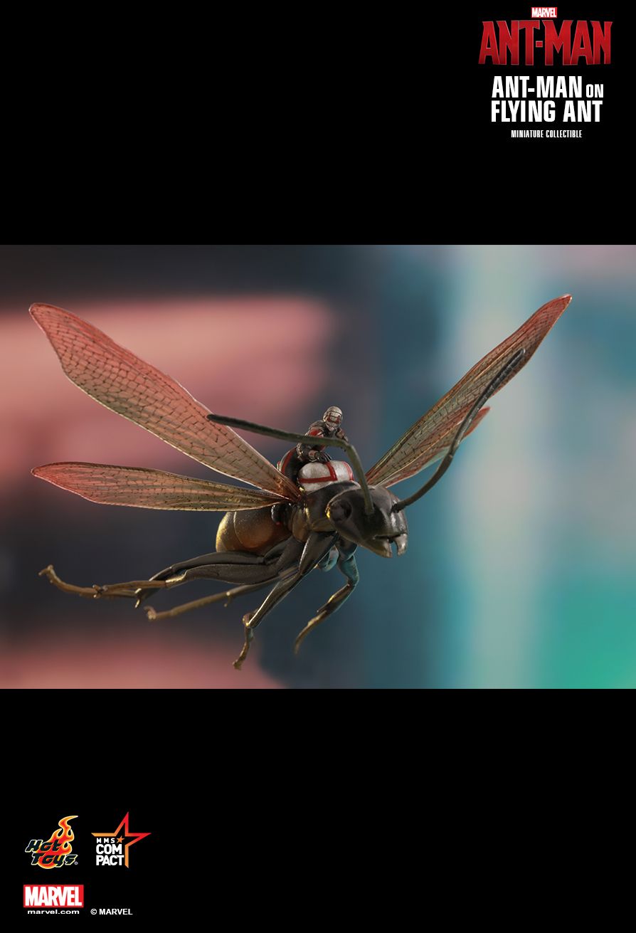 hot toys ant man on flying ant