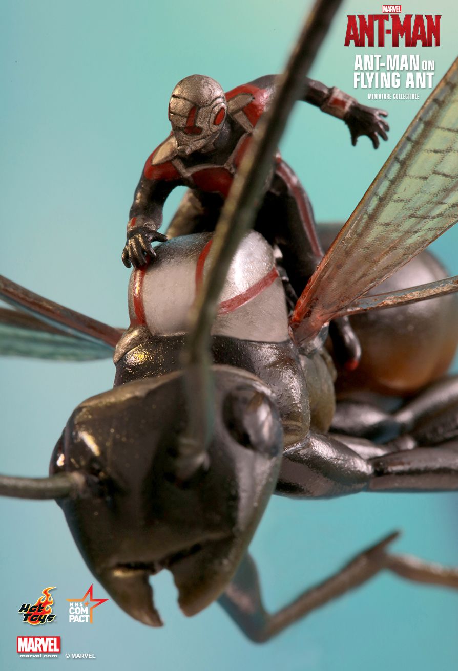 hot toys ant man on flying ant