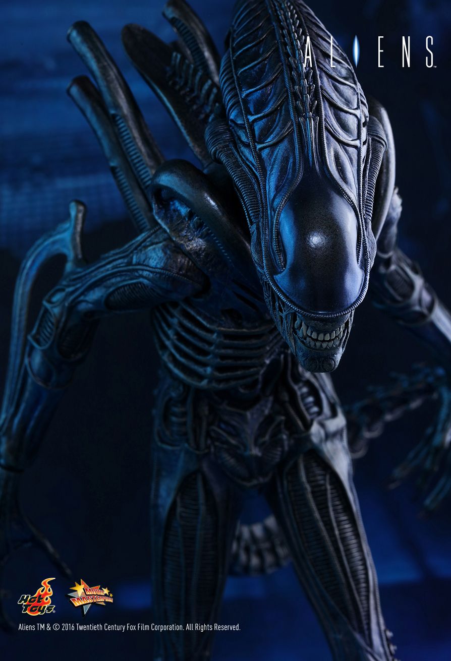 Dragon-Models.de | Hot Toys, ALIEN WARRIOR | Buy online Dragon-Models.de | Hot Toys, ALIEN WARRIOR | Buy online
