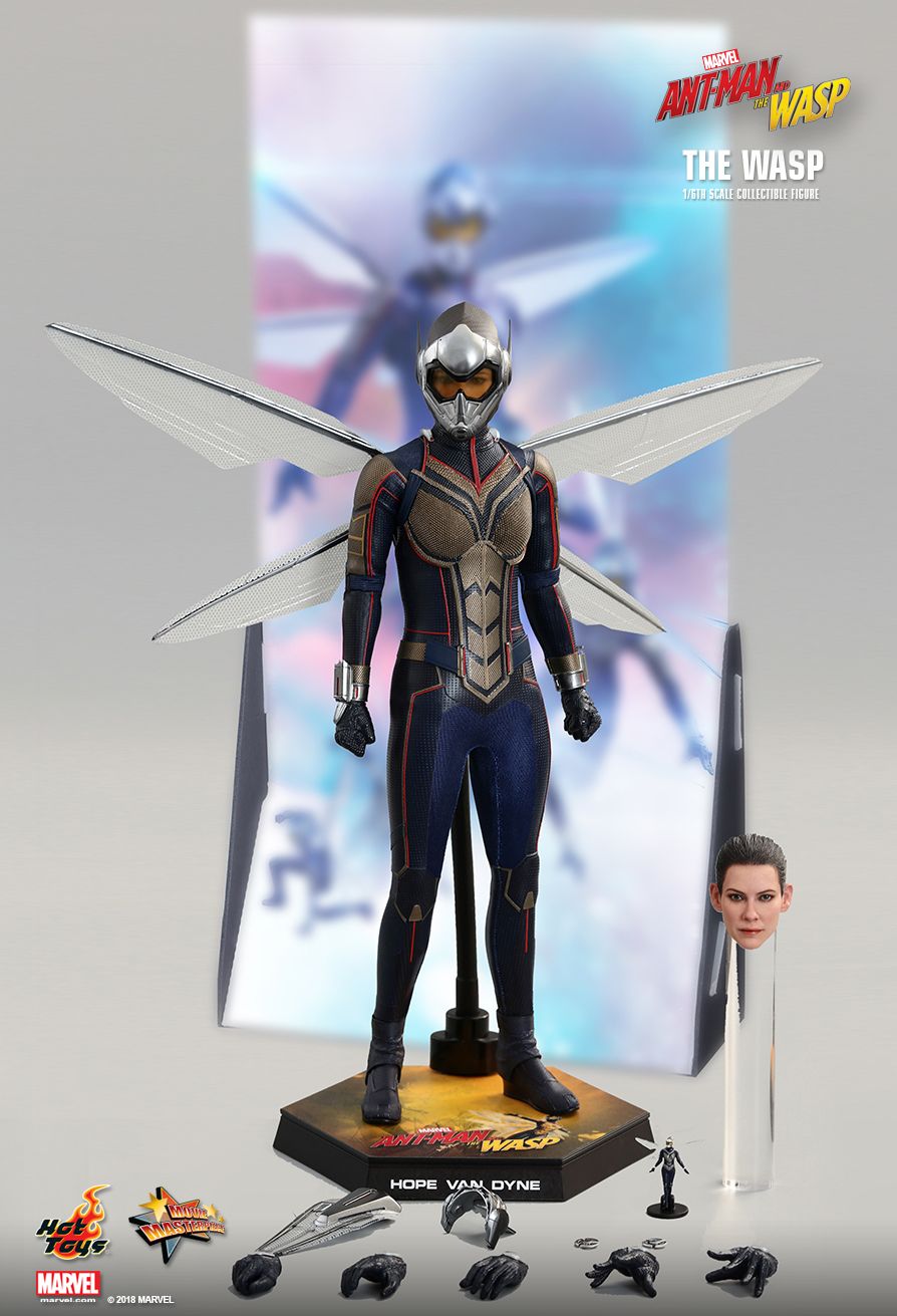 Details about   Hot Toys 1/6 MMS498 The Wasp IN STOCK Ant-Man and the Wasp 
