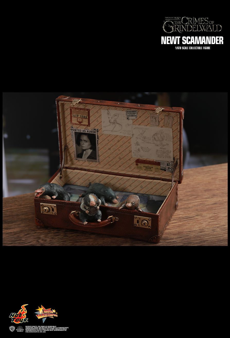 PD1542347534K3M.jpg?1542381145333