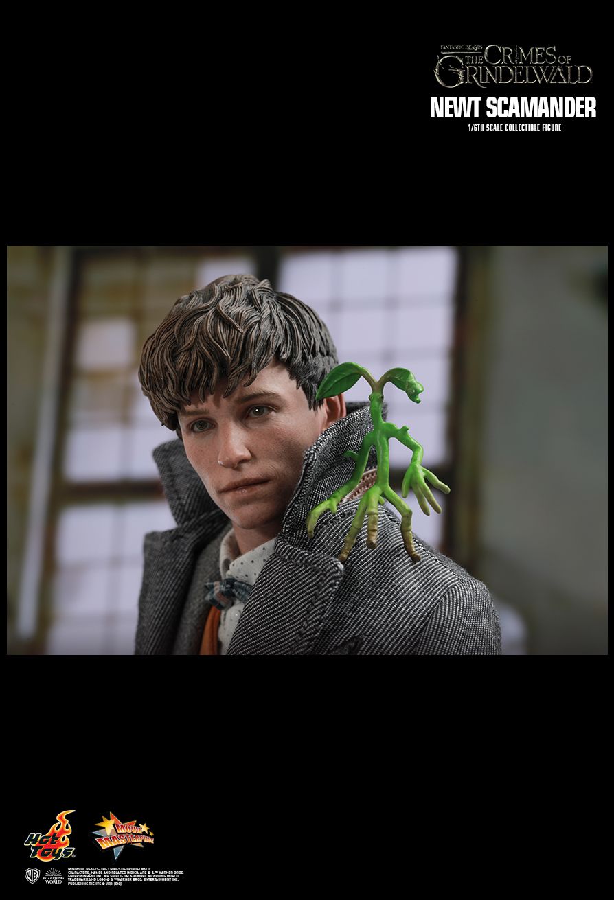 Hot Toys : Fantastic Beasts: The Crimes of Grindelwald - Newt Scamander 1/6th scale Collectible Figure